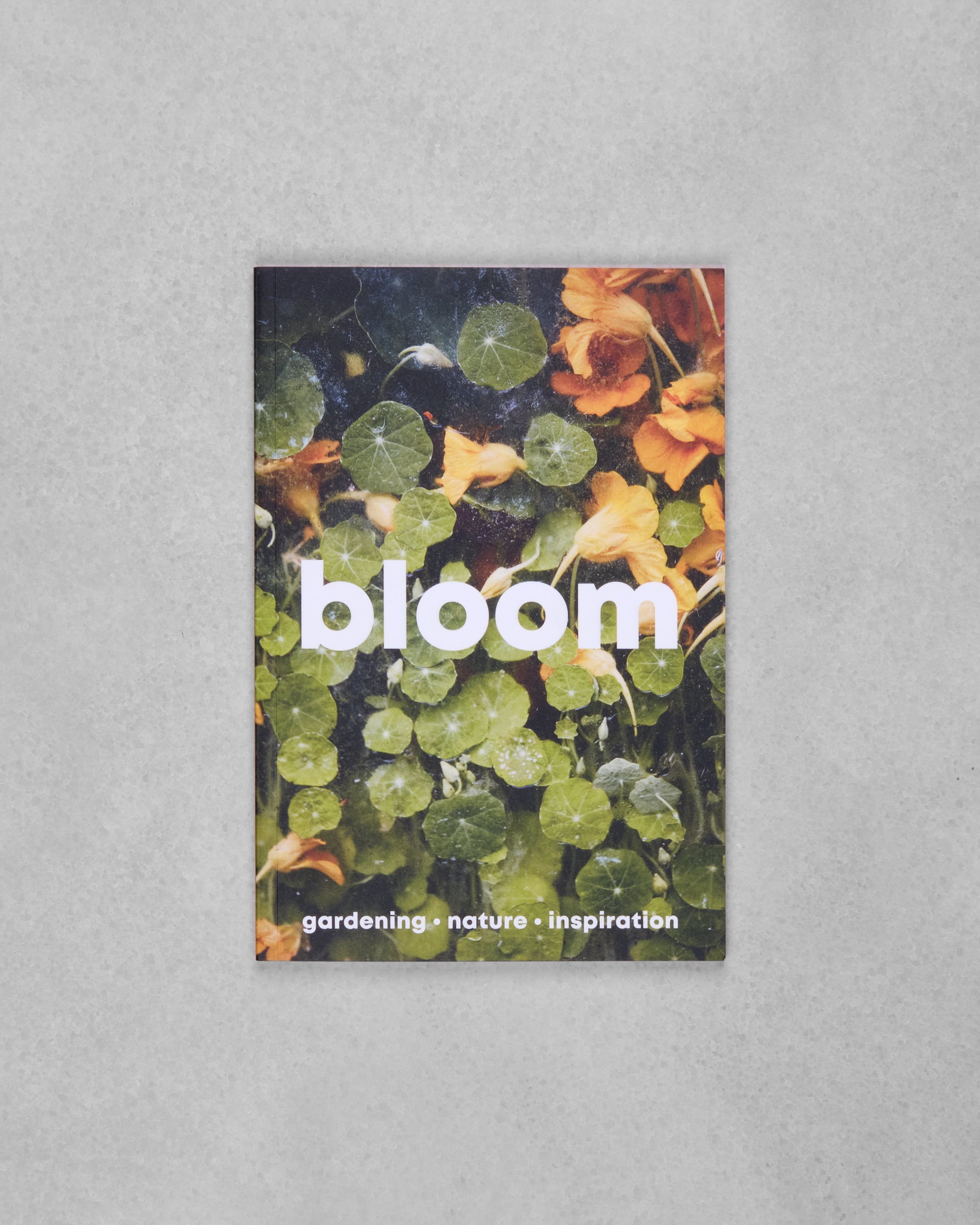 Revista Bloom issue 15: Autumn/winter 2023